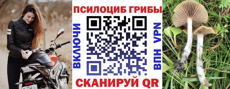 где купить наркотик  Данилов  Псилоцибиновые грибы прущие грибы 